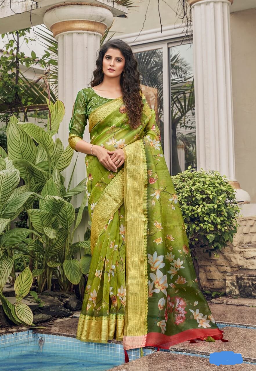 Heavy organza  silk saree Light pink and Green with fancy digital print